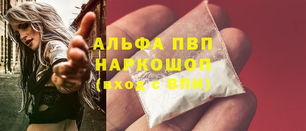 гашик Новокубанск
