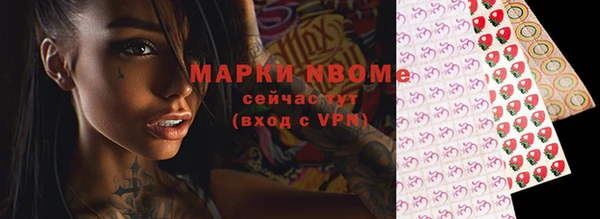 мдпв Новозыбков