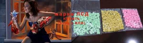 мдпв Новозыбков