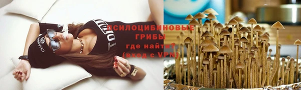 мдпв Новозыбков
