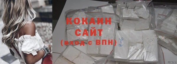 мдпв Новозыбков