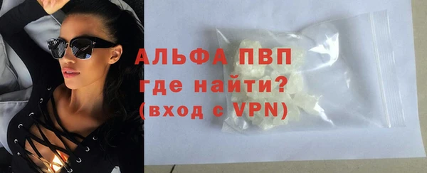 гашик Новокубанск