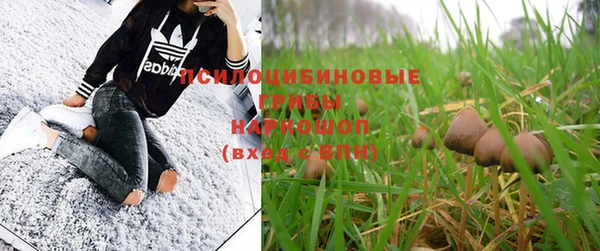 гашик Новокубанск