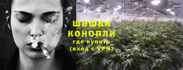 мдпв Новозыбков
