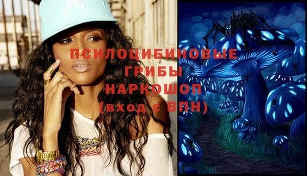 гашик Новокубанск