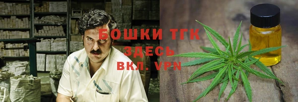 гашик Новокубанск